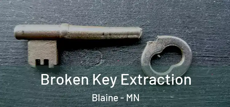  Broken Key Extraction Blaine - MN