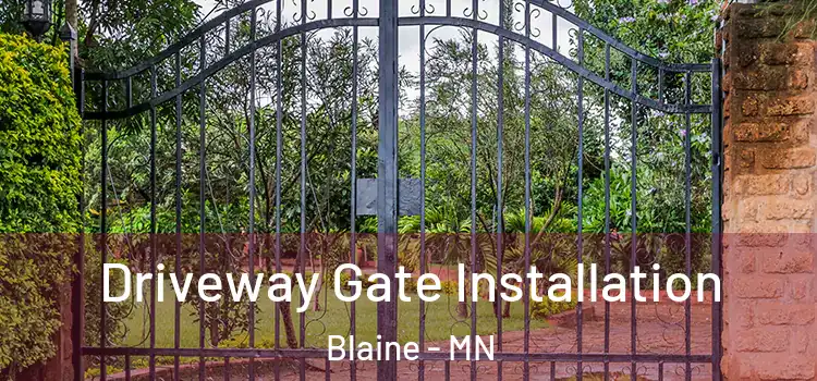 Driveway Gate Installation Blaine - MN