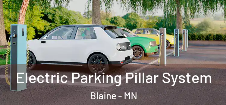 Electric Parking Pillar System Blaine - MN