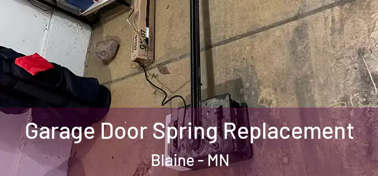  Garage Door Spring Replacement Blaine - MN