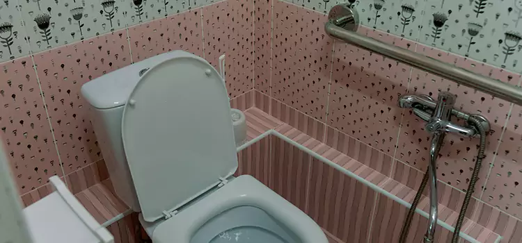 Meeting Diverse Needs With Accessible Restroom Solutions in Blaine, MN