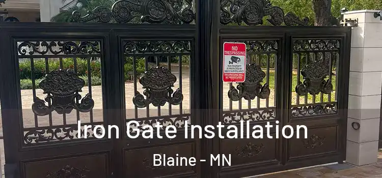 Iron Gate Installation Blaine - MN