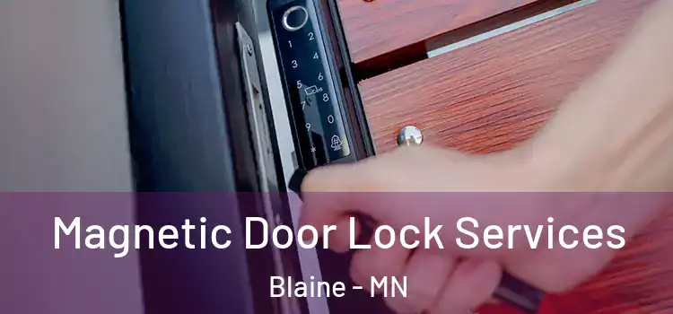 Magnetic Door Lock Services Blaine - MN