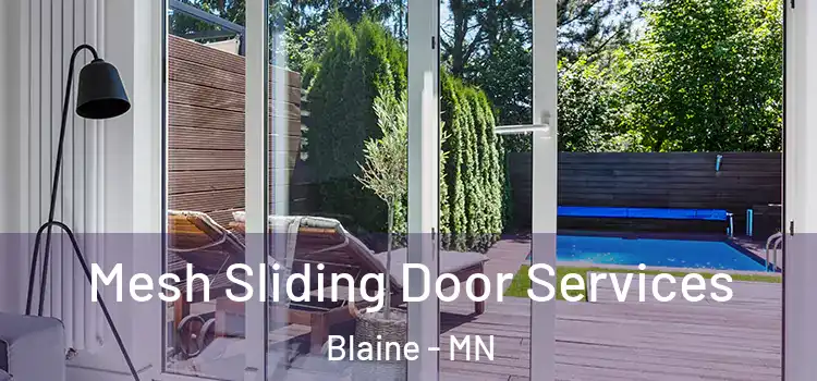 Mesh Sliding Door Services Blaine - MN