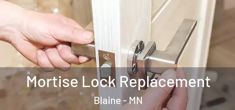 Mortise Lock Replacement Blaine - MN