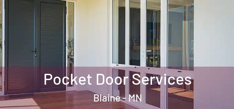 Pocket Door Services Blaine - MN