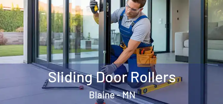 Sliding Door Rollers Blaine - MN